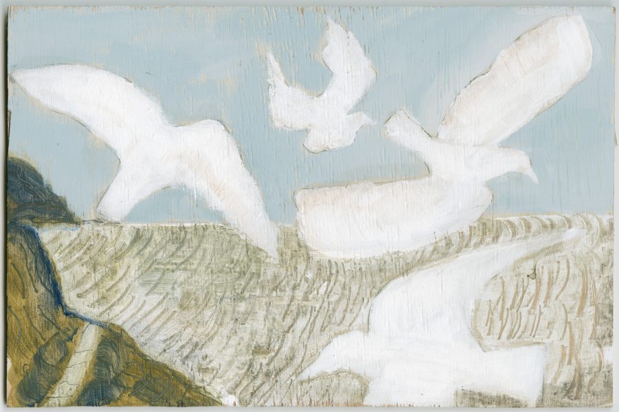 Hurlstone Point Seagulls