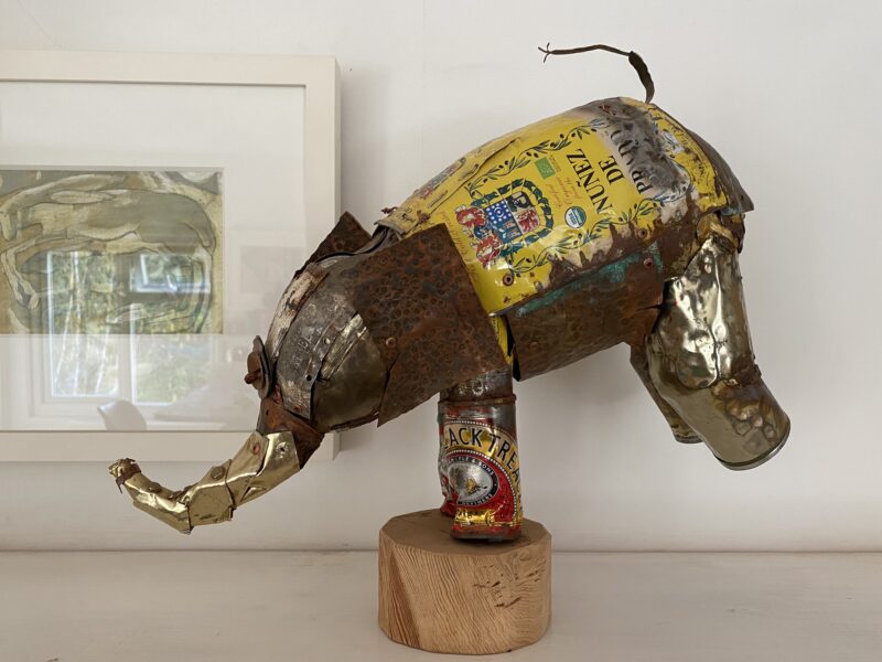 Circus Elephant